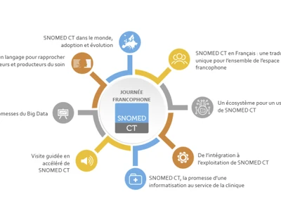 semantique-debat-sur-le-positionnement-de-la-snomed-ct