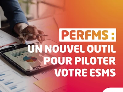 performance-des-esms-lanap-lance-un-outil-de-visualisation-automatise-des-donnees-du-tableau-de-bord-de-la-performance-medico-sociale-tdbms