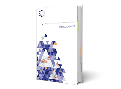 Illustration Planifiez vos formations 2017 avec le SIB !