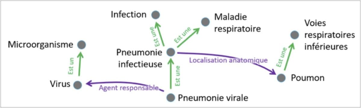 Illustration Langage clinique unique - Phast poursuit son action de diffusion de SNOMED CT en France 