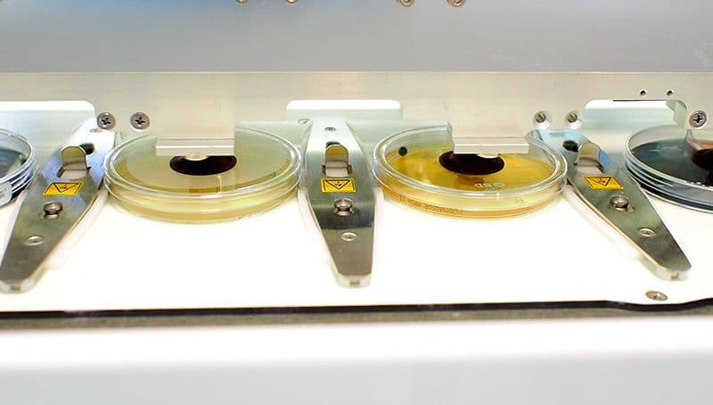 Illustration La microbiologie sans papier à Grenoble