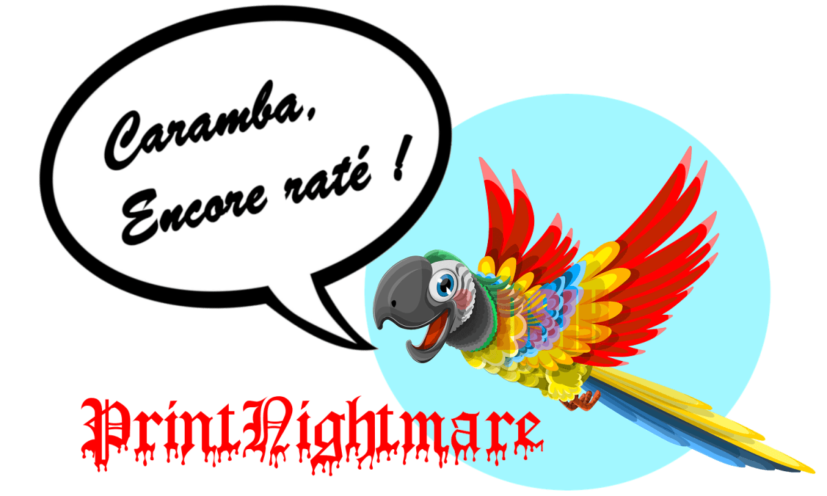 Illustration Deuxième patch Windows pour la vulnérabilité PrintNighmare : Caramba, encore raté !