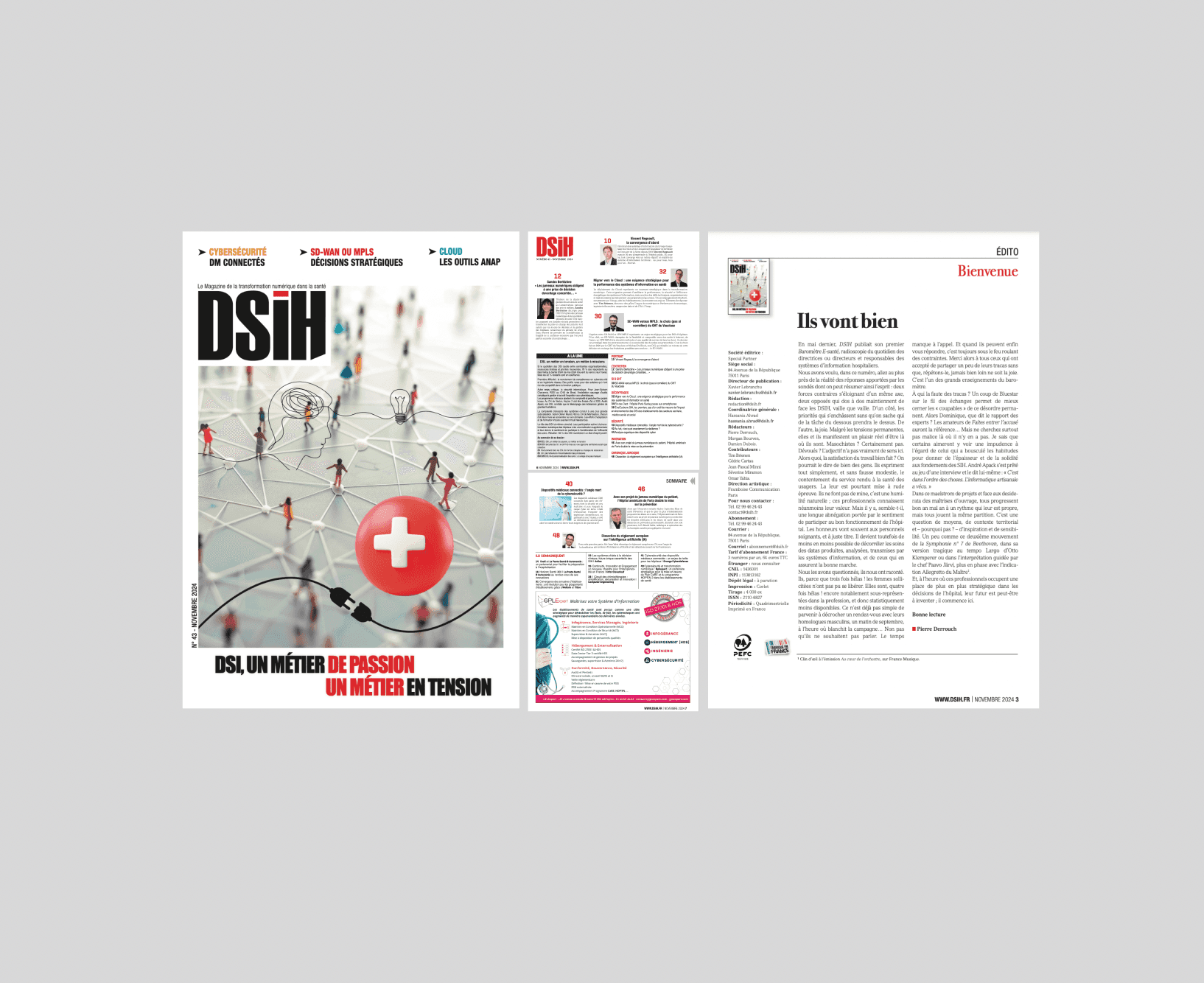 Illustration A la une de DSIH n° 43 – novembre 2024