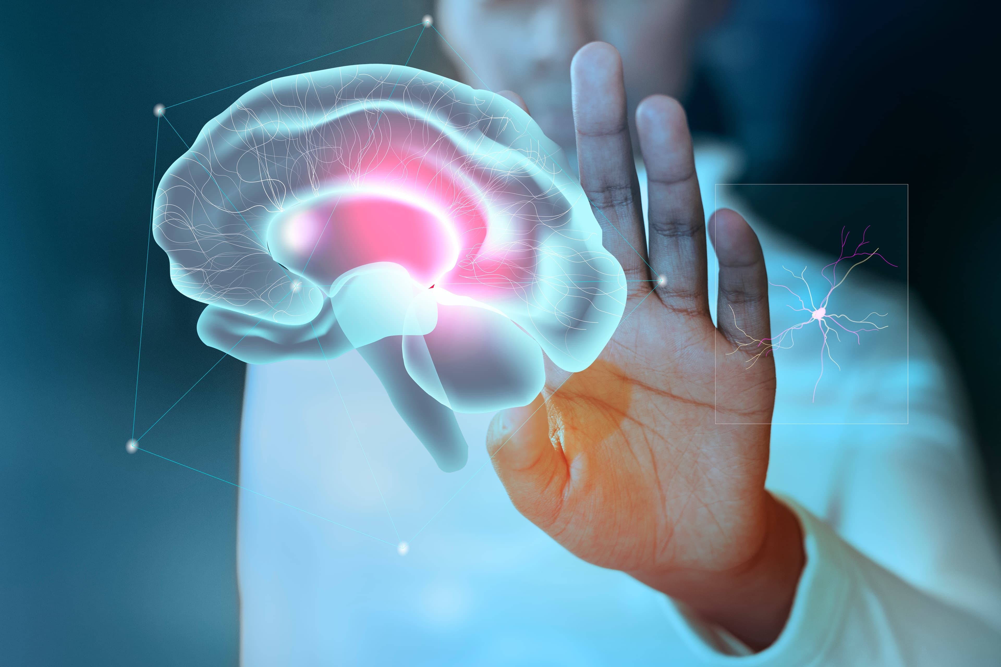 Illustration Un cerveau virtuel pour prédire les effets des interventions thérapeutiques ciblées