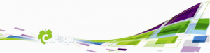 C page